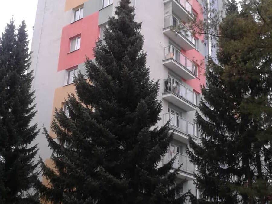 Výmena stupačkových rozvodov – Švermova 19, BB