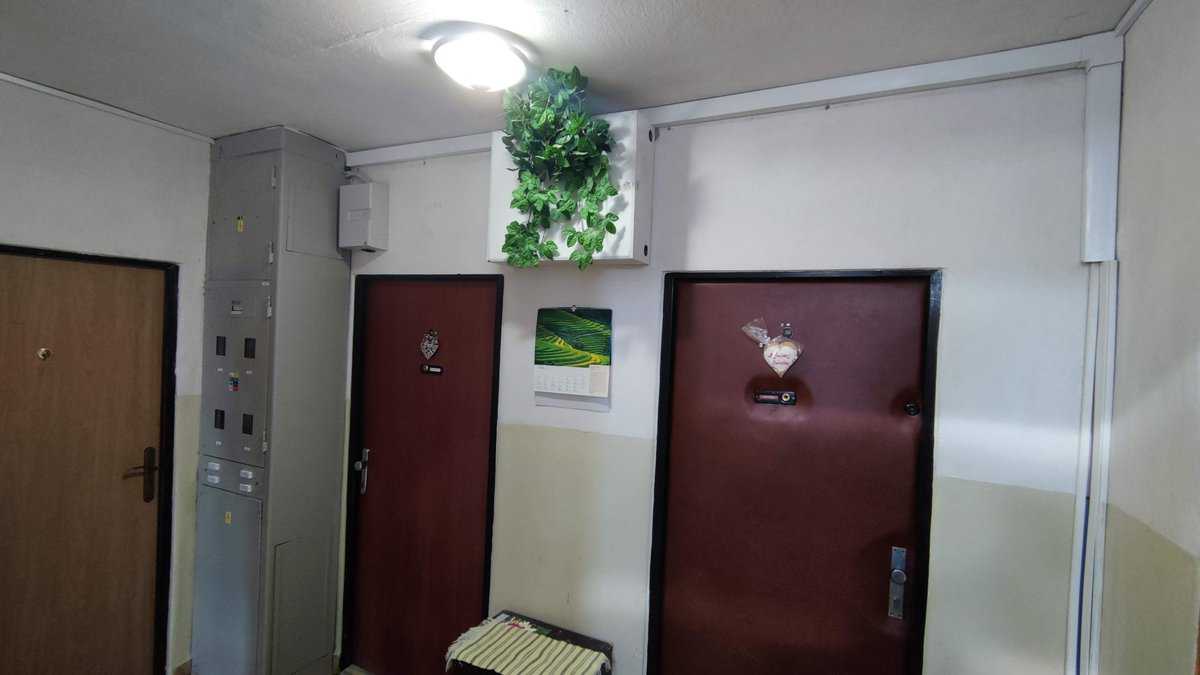 IMG_20220407_090707